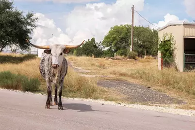 3958 Bandera Highway, Kerrville, TX 78028 - Photo 8