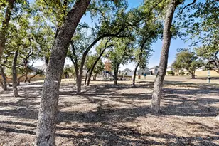 163 Cotton Tree Ter, Dripping Springs, TX 78620 - Photo 30