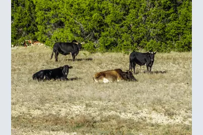 853 County Road 4390, Kempner, TX 76539 - Photo 32