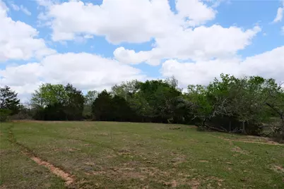 446 Herron Trail, McDade, TX 78650 - Photo 22