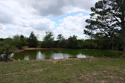 446 Herron Trail, McDade, TX 78650 - Photo 20