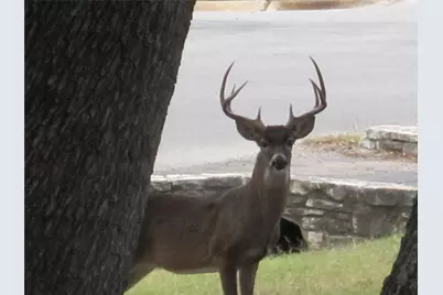 9314 Western Trail, Lago Vista, TX 78645 - Photo 12