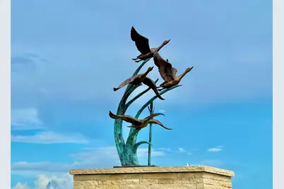 Tbd Tract 105 Pin Tail Lane, Columbus, TX 78934 - Photo 4