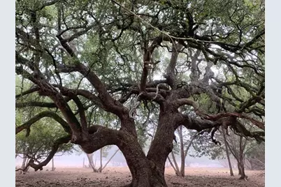 5818 Ranch Road 165, Blanco, TX 78606 - Photo 34