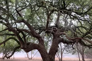 5818 Ranch Road 165, Blanco, TX 78606 - Photo 34