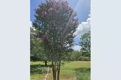 184 Kahana Lane, Bastrop, TX 78602 - Photo 8