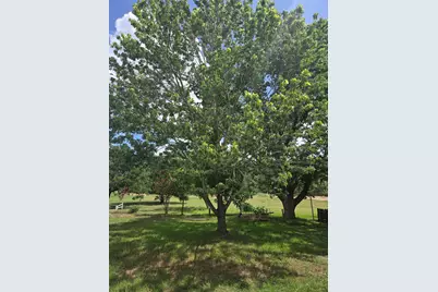 184 Kahana Lane, Bastrop, TX 78602 - Photo 6