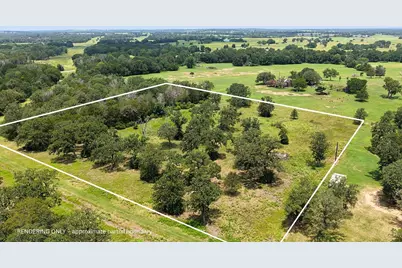 1016 Private Road 7040, Lexington, TX 78947 - Photo 4
