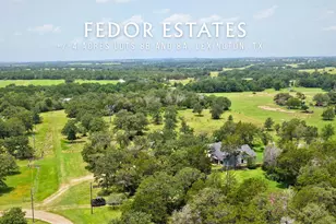 1016 Private Rd 7040, Lexington, TX 78947 - Photo 1