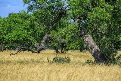 Lot 94 Stock Pond Drive, Fredericksburg, TX 78631 - Photo 38