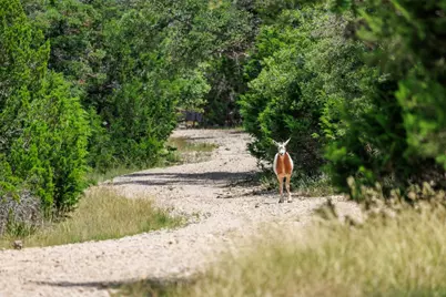 Lot 94 Stock Pond Drive, Fredericksburg, TX 78631 - Photo 32