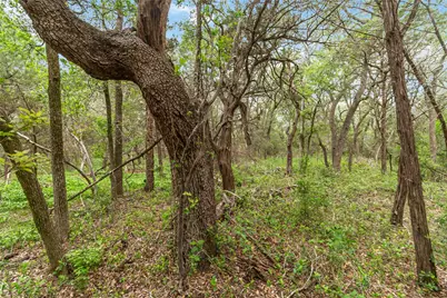 1306 Thousand Oaks Loop, San Marcos, TX 78666 - Photo 18