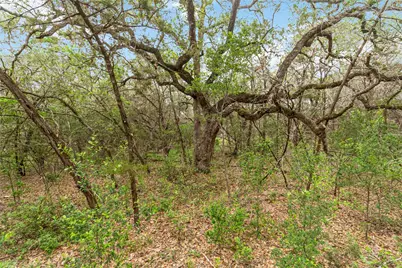1306 Thousand Oaks Loop, San Marcos, TX 78666 - Photo 14