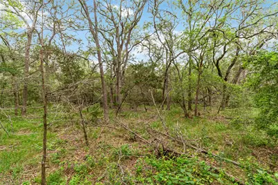 1306 Thousand Oaks Loop, San Marcos, TX 78666 - Photo 26