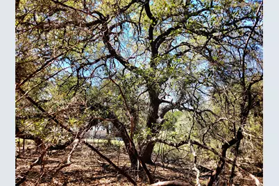 2066 Stallion Springs Drive, Fischer, TX 78623 - Photo 8