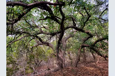 2066 Stallion Springs Drive, Fischer, TX 78623 - Photo 2