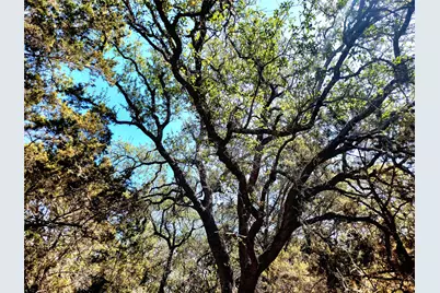 2066 Stallion Springs Drive, Fischer, TX 78623 - Photo 6