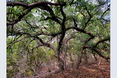 2066 Stallion Springs Drive, Fischer, TX 78623 - Photo 4