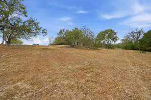 3500 Scull Rd, Martindale, TX 78655 - Photo 34
