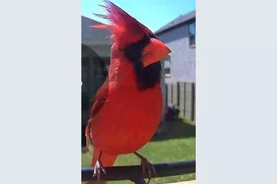 100 Peach Orchard Lane, Georgetown, TX 78628 - Photo 34