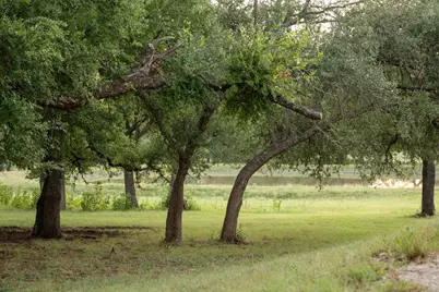 5200 Bell Springs Road, Dripping Springs, TX 78620 - Photo 12