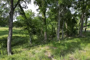 Lot 29 Serenity Dr, Bertram, TX 78605 - Photo 8