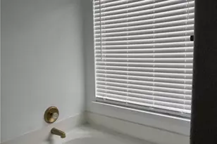 2808 Red Ivy Cove, Pflugerville, TX 78660 - Photo 14