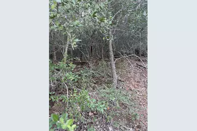 Lot 376 Palikea Circle, Bastrop, TX 78602 - Photo 2