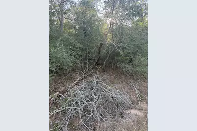 Lot 376 Palikea Circle, Bastrop, TX 78602 - Photo 4