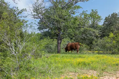 Tbd County Road 459 Road, Thorndale, TX 76577 - Photo 14