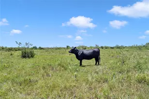 10600 County Road 210 Rd, Bertram, TX 78605 - Photo 14