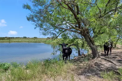 10600 County Road 210 Road, Bertram, TX 78605 - Photo 4