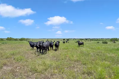 10600 County Road 210 Road, Bertram, TX 78605 - Photo 28