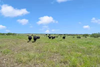 10600 County Road 210 Road, Bertram, TX 78605 - Photo 12