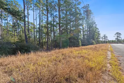 Lot 65 State Highway 21, Bastrop, TX 78602 - Photo 10