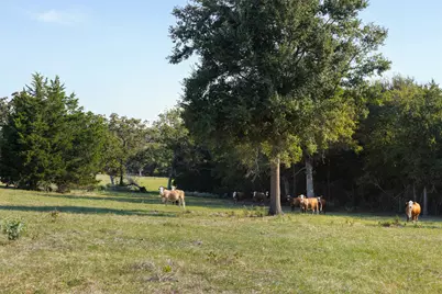 11789 Fm 2095, Gause, TX 77857 - Photo 20