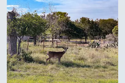 Lots 327 and 378 Friar Tuck Lane, Marble Falls, TX 78654 - Photo 32