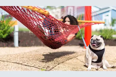 8610 Basil Hayden Lane, Austin, TX 78744 - Photo 10