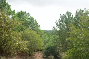 157 Lakeside Dr, Bastrop, TX 78602 - Photo 34