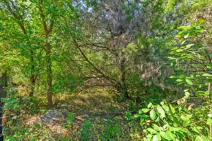 12521 Calistoga Way, Austin, TX 78732 - Photo 36