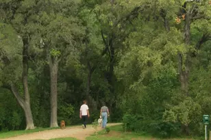 1914 W 38th St, Austin, TX 78731 - Photo 18