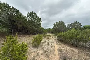 20623 Falcon Ln, Lago Vista, TX 78645 - Photo 1