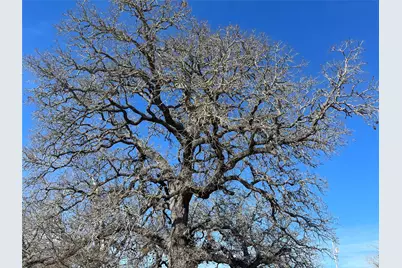 5279 Fm 2762, Flatonia, TX 78941 - Photo 8