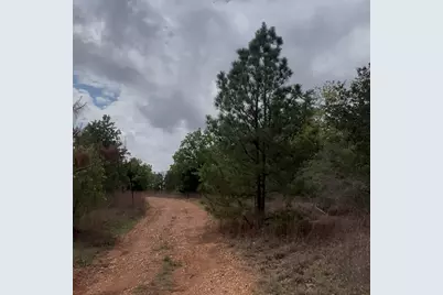 Lot 14 & Lot 15 Antioch Road, Paige, TX 78659 - Photo 4