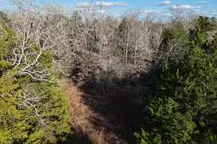 Lot 14 & Lot 15 Antioch Rd, Paige, TX 78659 - Photo 1
