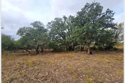 415 Black Watch Lane, Lockhart, TX 78644 - Photo 1