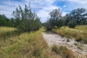 Tbd Cloudwood Ranch Rd, Briggs, TX 78608 - Photo 10