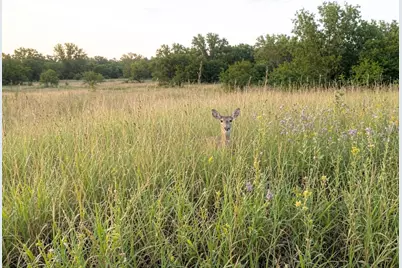3153 Fm 956, Schulenburg, TX 78956 - Photo 14