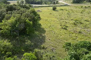 Lot 30 Serenity Dr, Bertram, TX 78605 - Photo 4