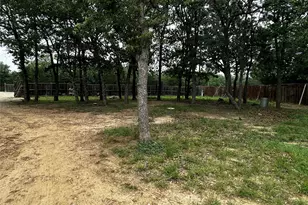 115 Antler Cove, Cedar Creek, TX 78612 - Photo 16